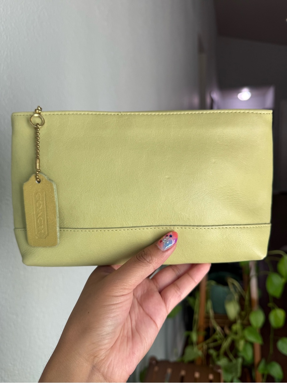 Vintage Coach Large Cosmetic Case 7172 in Lime